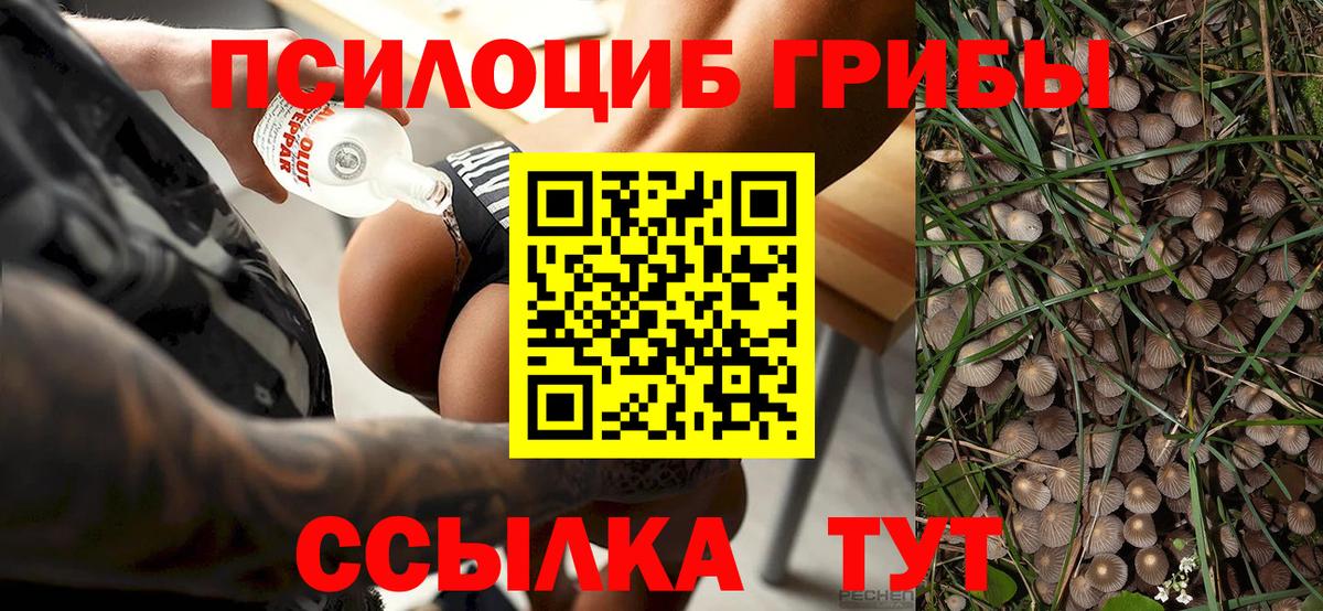 Галлюциногенные грибы Magic Shrooms  Вход с VPN  Смоленск 